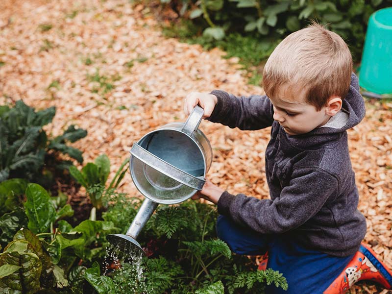 Eyre Room - outdoor play - watering garden